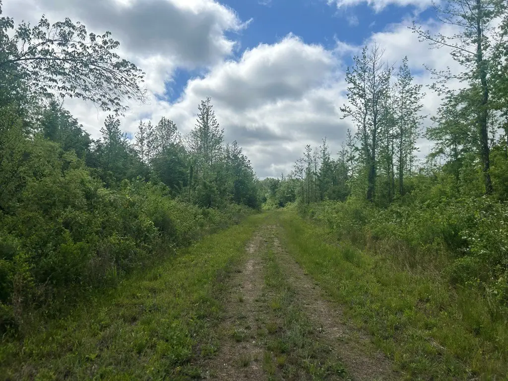 Picture 31
