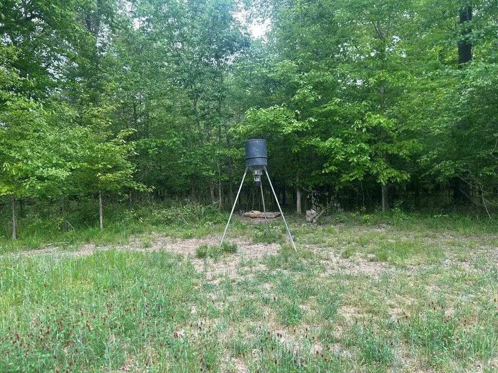 Picture 2