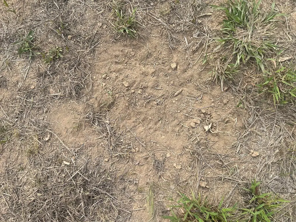 Picture 30