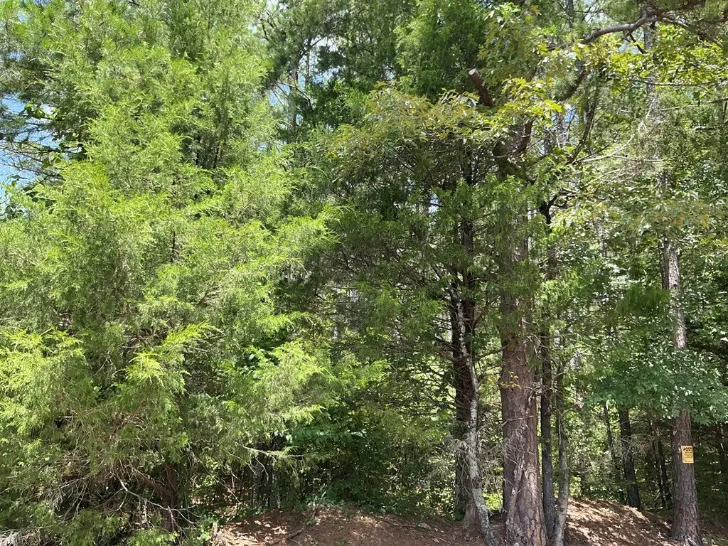 Picture 21