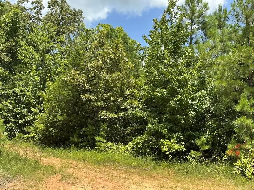 Picture 23