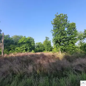 9-Acre Timbered Land Parcel