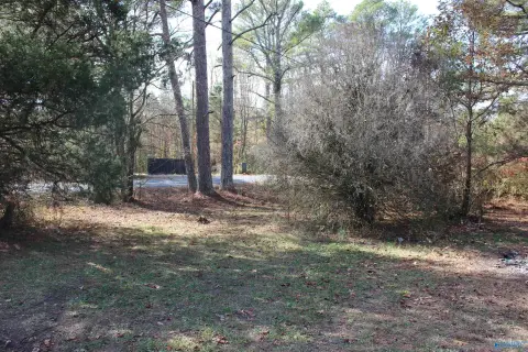 Unrestricted Acreage in Fort Payne
