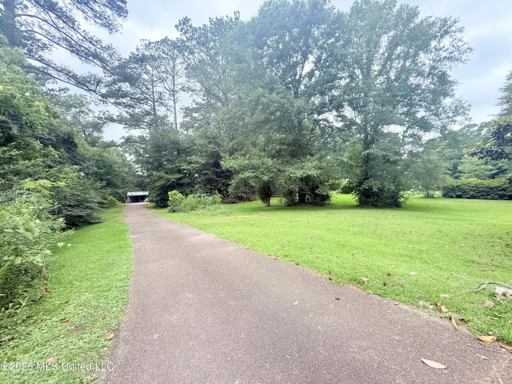 Picture 2