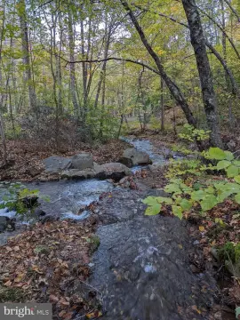 Scenic Acreage with Flowing Creek