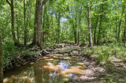 525-Acre Tract Near Cooper Lake
