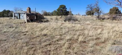 Residential Acreage in Rural Town