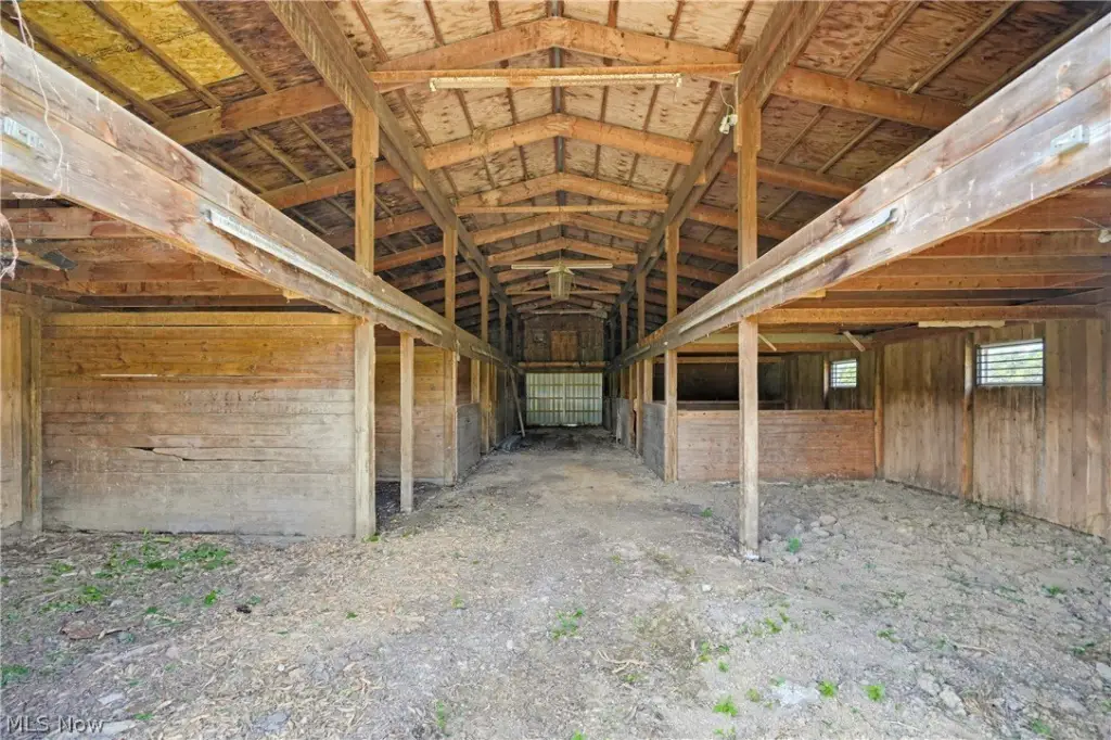 Picture 9