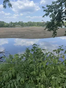 Waterfront Lot in Pittsfield