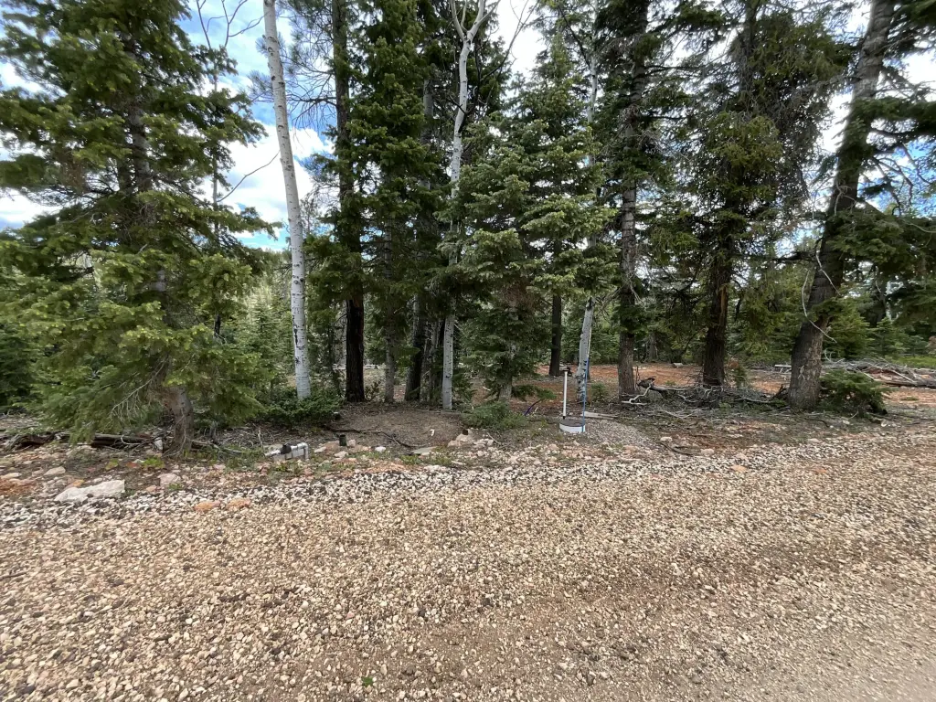 Picture 17