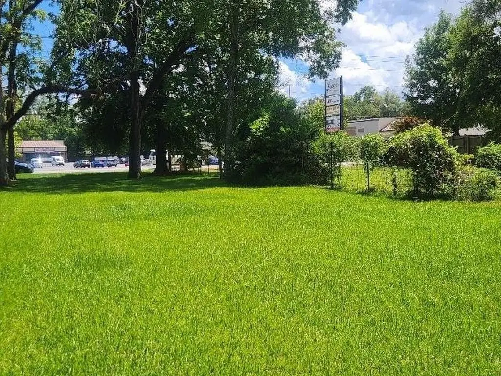 Picture 9