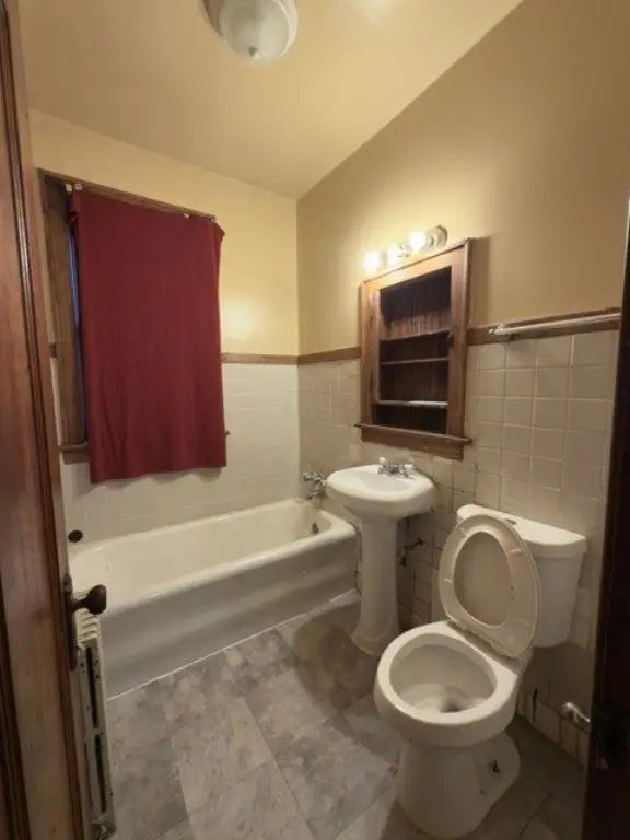 Picture 7