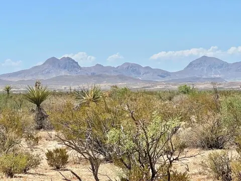 5 Acres in Big Bend