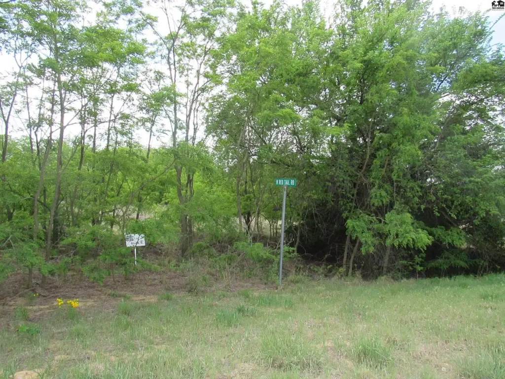 Picture 7