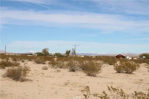 Joshua Tree Land Opportunity