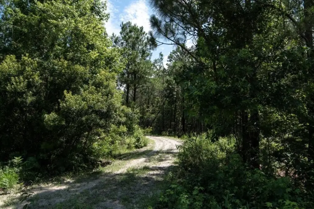 Picture 38
