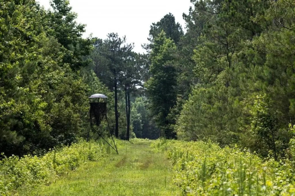 Picture 30