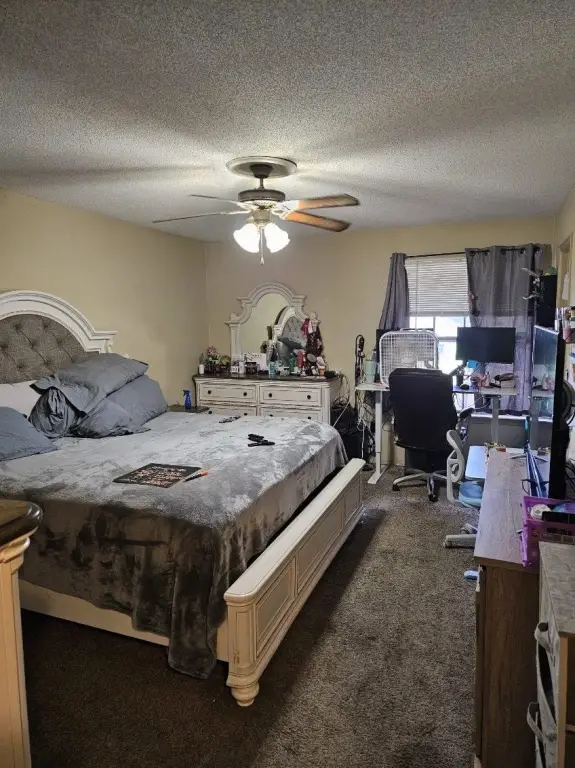 Picture 3