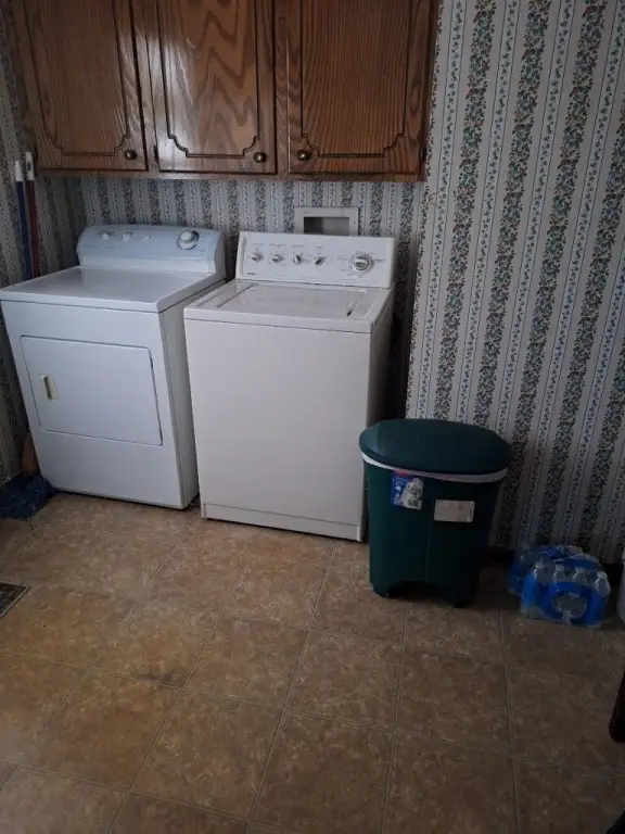 Picture 8