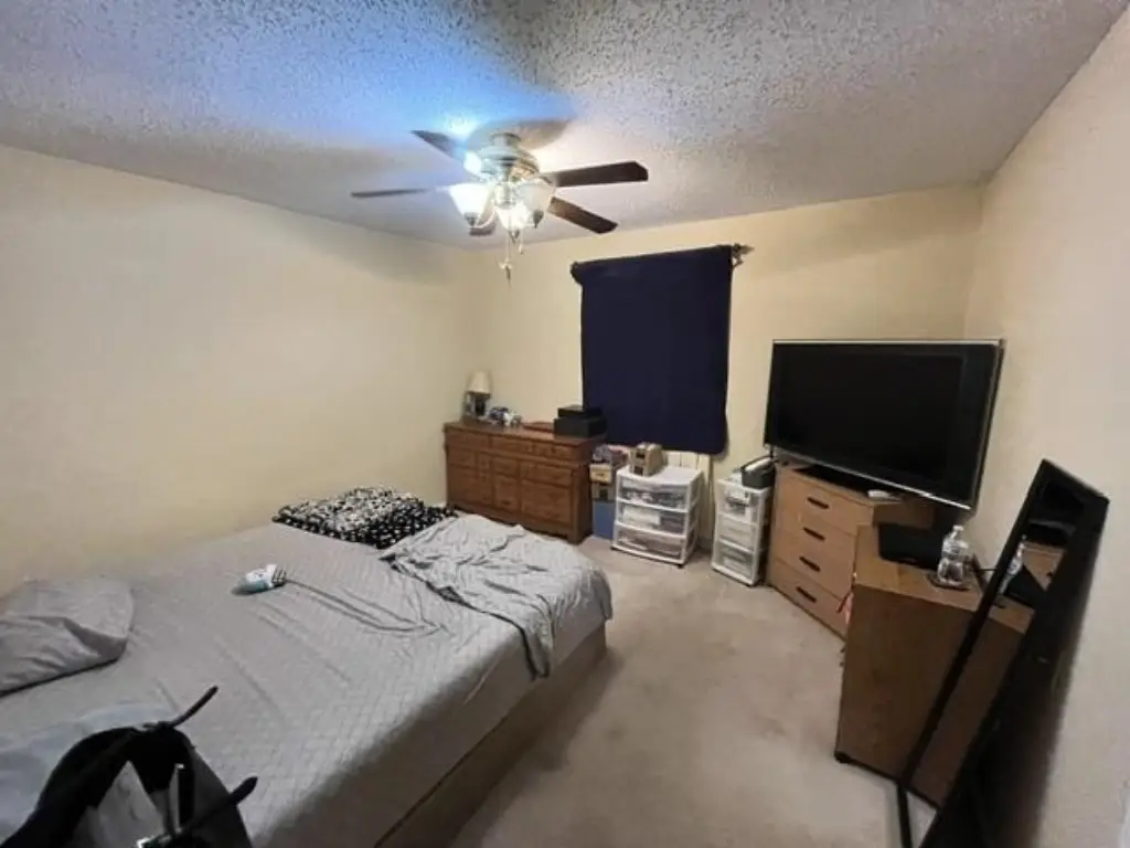 Picture 11