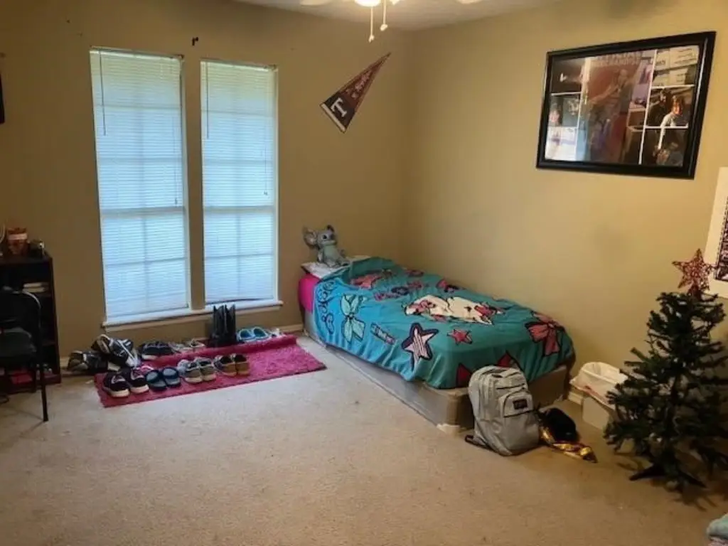 Picture 3