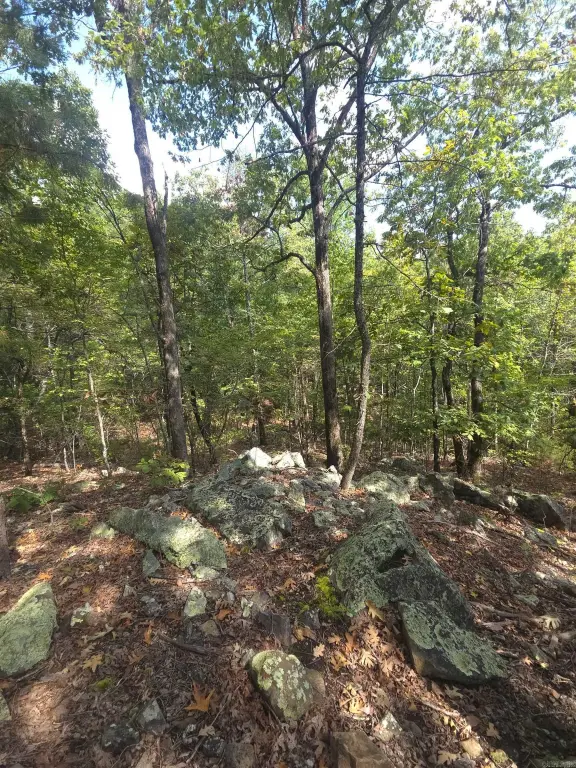 Picture 34
