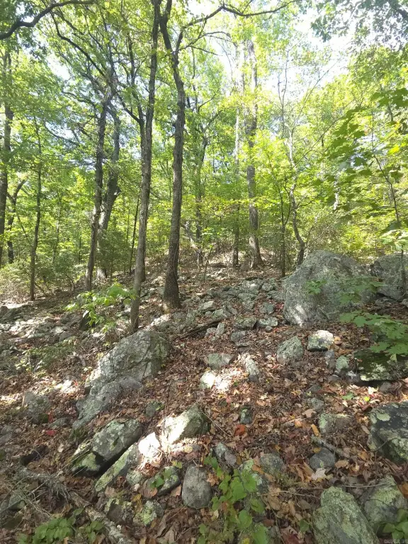 Picture 41