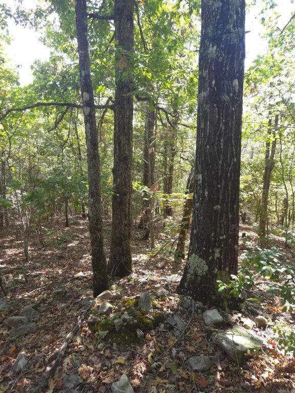 Picture 20