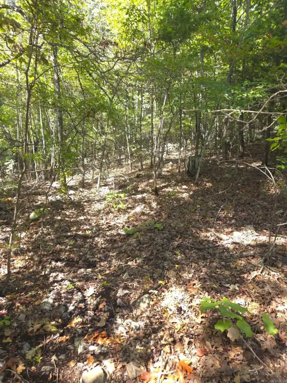 Picture 19