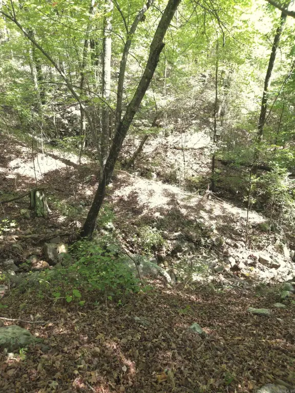 Picture 9