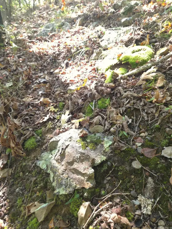 Picture 14
