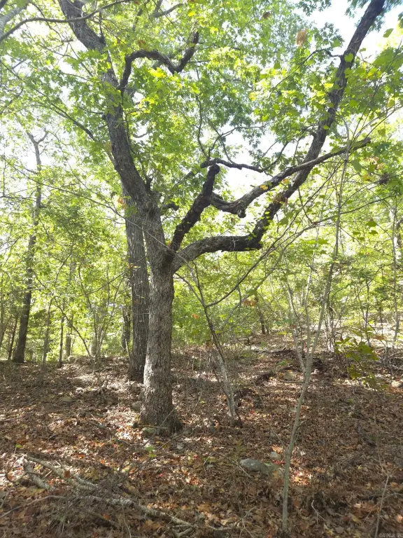 Picture 16