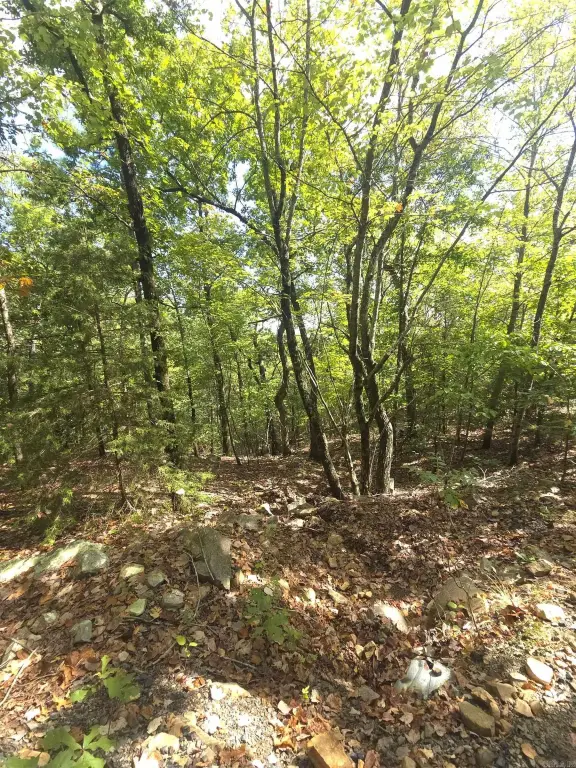 Picture 38