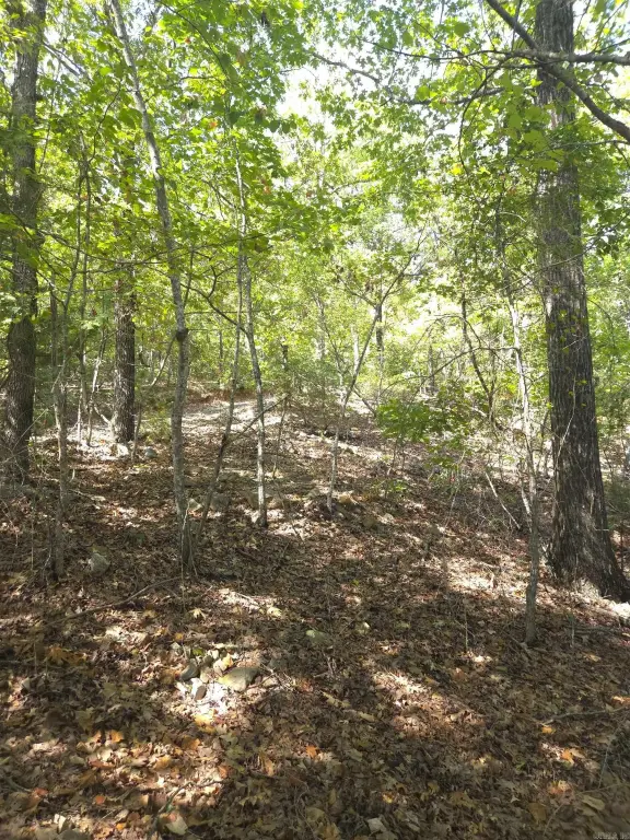 Picture 17