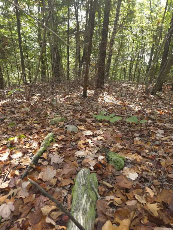 Picture 30