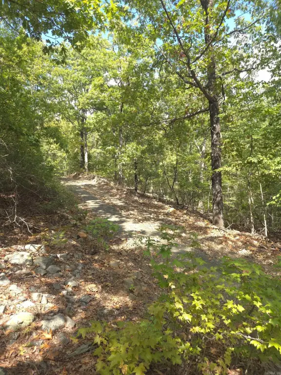 Picture 31