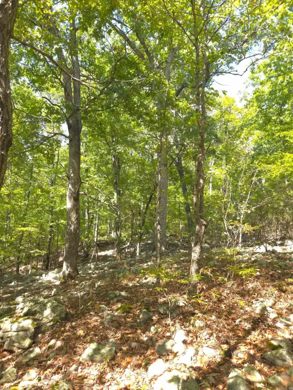 Picture 21