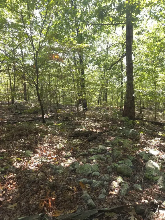 Picture 25