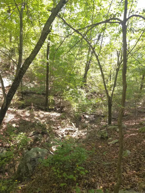 Picture 12