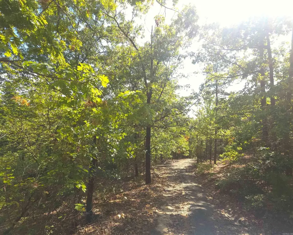 Picture 2