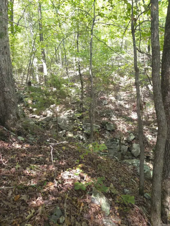 Picture 8