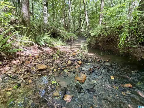 Hunting Land with Established Trails