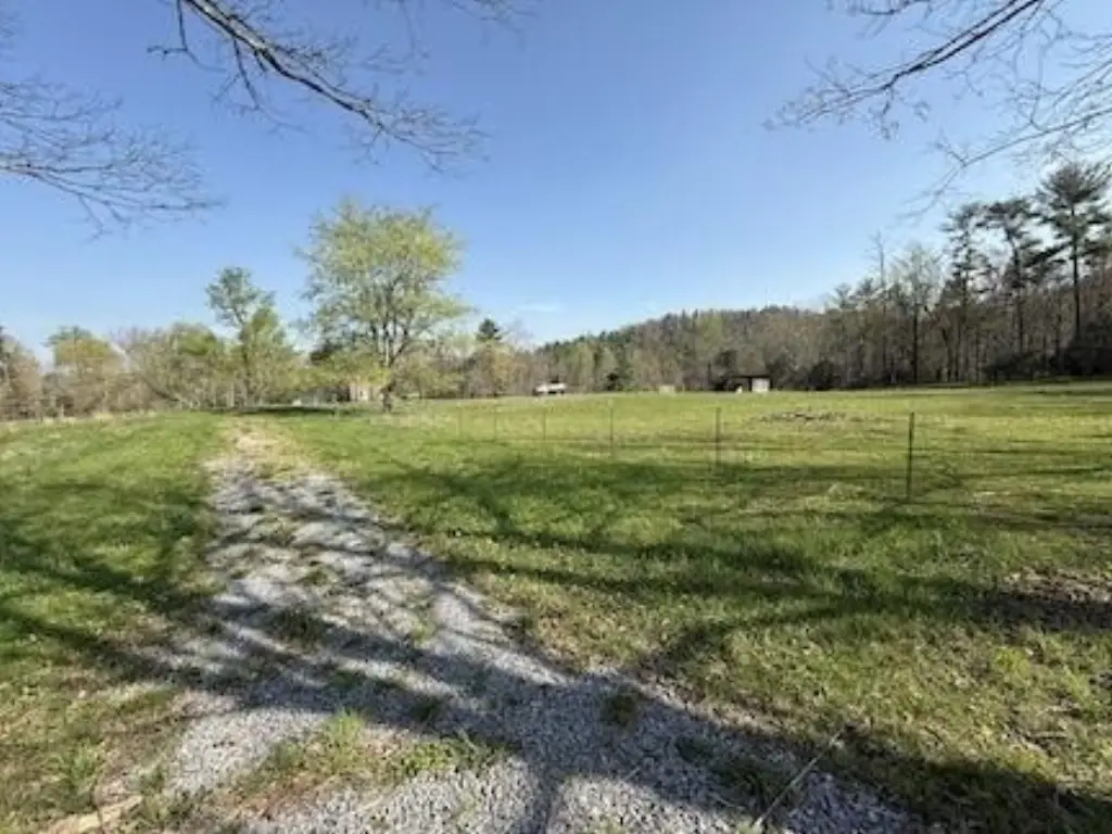 Picture 4