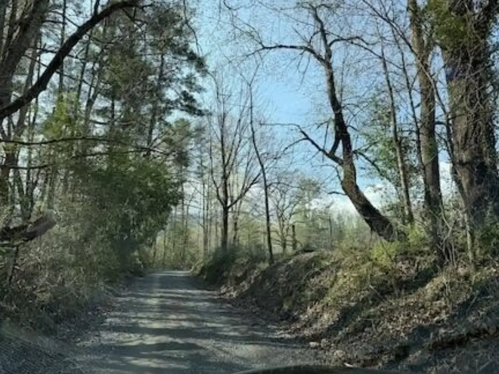 Picture 3