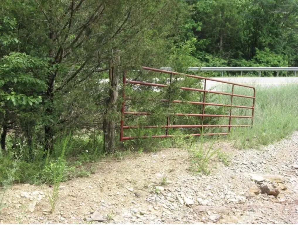 Picture 6