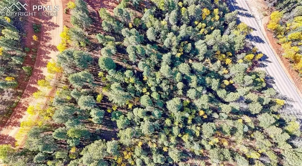 Picture 12