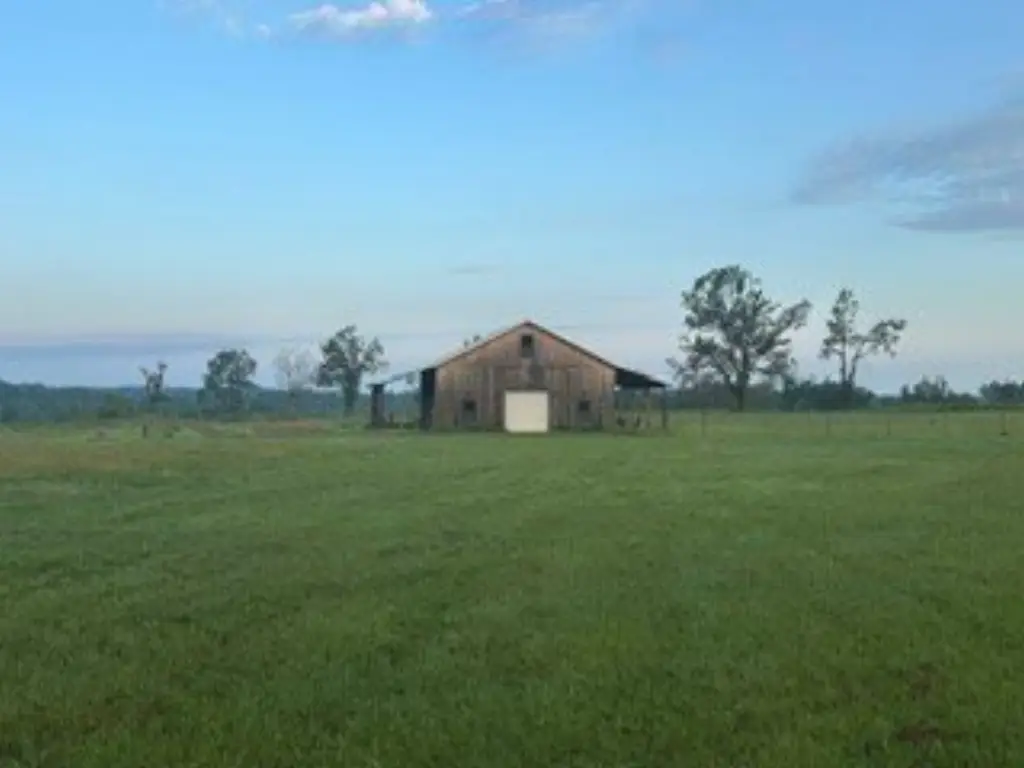 Picture 26