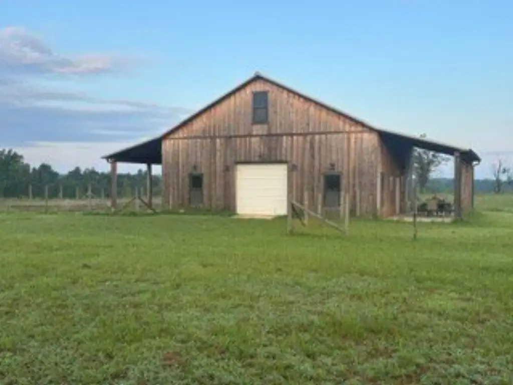 Picture 15
