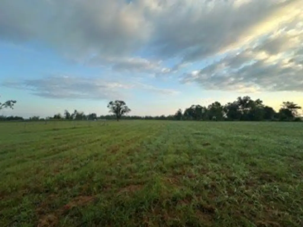 Picture 27