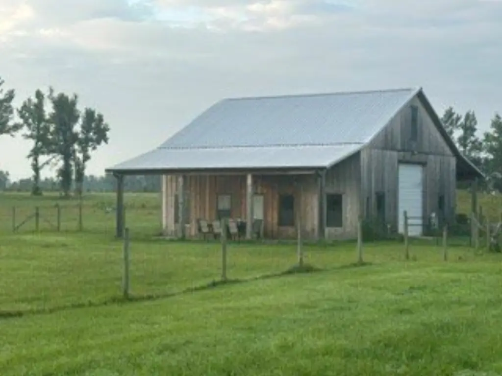 Picture 16
